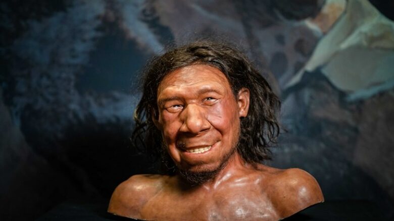 Ndërthurja e Homo sapiens me Neandertalët ndodhi më vonë se sa mendohej më parë