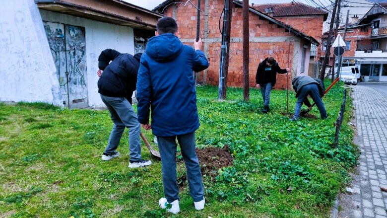 EC Ma Ndryshe bashkë me nxënësit pasuron hapësirën publike me fidanë