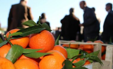 Mandarinat nga Shqipëria me mbetje të pesticideve të rrezikshme, AUV merr masa – i ndalon në kufi për kontrolle