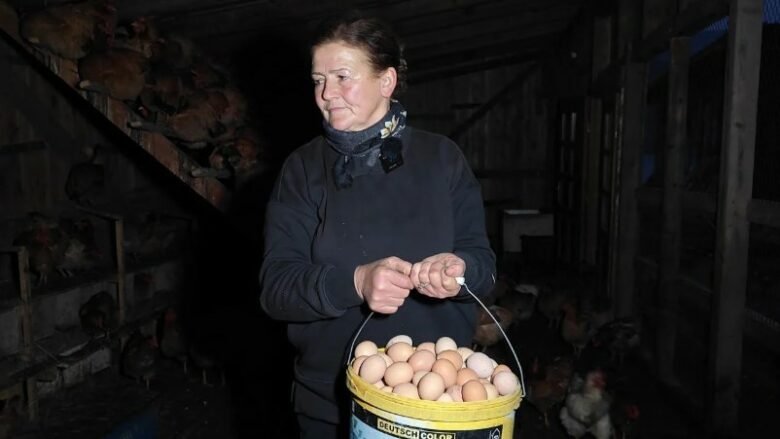 Mësuesja nga Hasi që ‘jeton’ me 1000 pula: Dashurinë për kafshët ma mësoi njerka