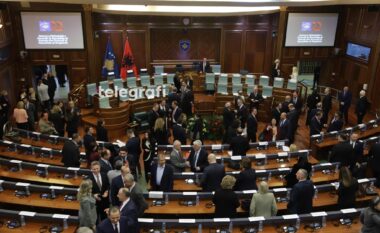 ​Kuvendet Kosovë-Shqipëri miratojnë deklaratën e përbashkët