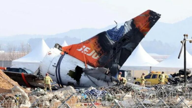 Gjenden pupla zogjsh në motorët e aeroplanit Jeju Air të rrëzuar në Korenë e Jugut, ku humbën jetën 179 persona