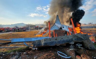 Pupla zogjsh u gjetën në motorin e aeroplanit të rrëzuar të Koresë së Jugut, ku humbën jetën 179 pasagjerë