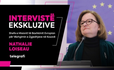 Partitë politike, fushata zgjedhore e mediat ‘në llupën” e BE-së, flet Nathalie Loiseau, shefe e misionit për zgjedhje