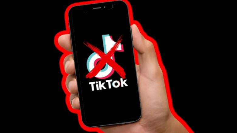 Cilat vende e kanë ndaluar TikTok-un dhe pse?