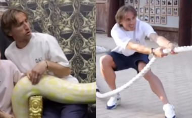 Frika e Luka Modric nga pitoni dhe tërheqja e një tigri me konop – kroati bëhet viral në internet