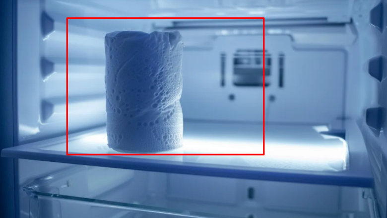 Why should you put toilet paper in the fridge? - Telegraph - Telegraph