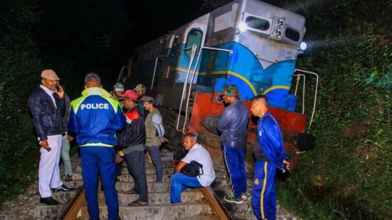 Gjashtë elefantë mbetën të ngordhur pasi u goditën nga treni në Shri Lanka