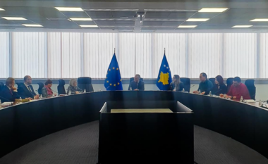 Bislimi mirëpriti në takim delegacionin nga Parlamenti Evropian, të cilët po monitorojnë e vëzhgojnë procesin zgjedhor në Kosovë