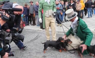 Parada me 897 qen të racës ‘wiener’ thyen rekordin botëror Guinness në Gjermani