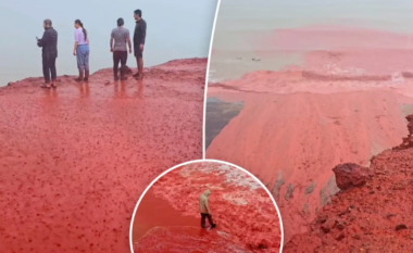 Plazhi që duket sikur është mbuluar me gjak, fenomeni i pazakontë në Iran po tërheq vëmendjen e botës