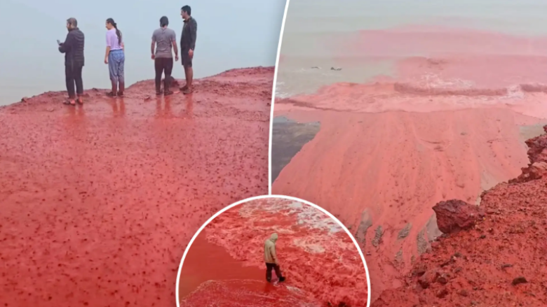 Plazhi që duket sikur është mbuluar me gjak, fenomeni i pazakontë në Iran po tërheq vëmendjen e botës