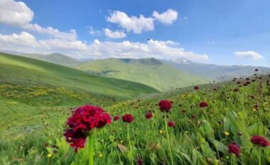 Shtegu i Ngjyrave në Parkun “Korab-Koritnik”, gjithnjë dhe më i kërkuar nga vizitorët