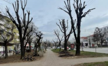 Ndërmarrja “Tregu” vijon me pastrimin e parkut dhe rrugëve kryesore në Gjilan