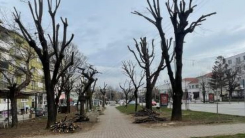 Ndërmarrja “Tregu” vijon me pastrimin e parkut dhe rrugëve kryesore në Gjilan