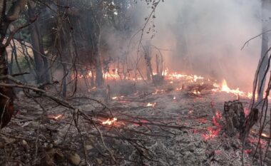 Zjarri i së dielës në viset malore të Shtimes shkaktoi dëme të mëdha